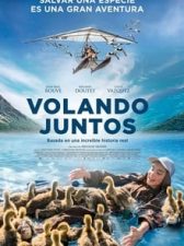 Volando juntos 