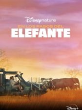 Tras los pasos del elefante 