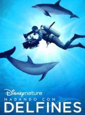 Nadando con delfines 