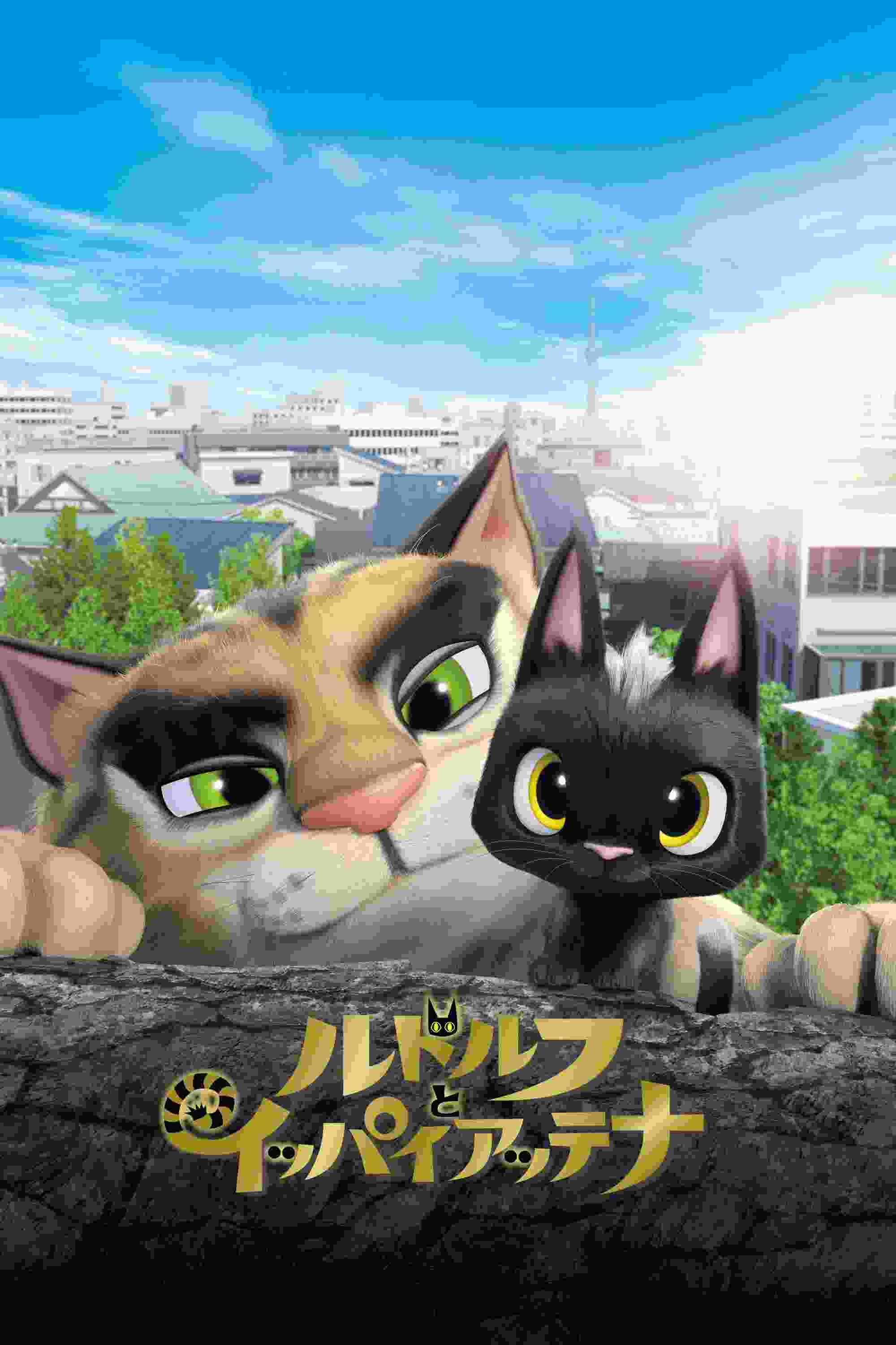 Gatos. Un viaje de vuelta a casa