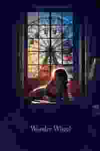 La rueda de la maravilla