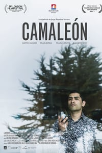Camaleón