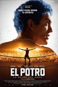 El Potro