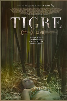 Tigre