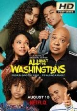 All About The Washingtons x1