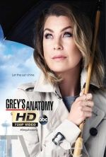 Anatomia De Grey 14×11