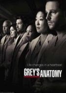 Anatomia De Grey 14×17