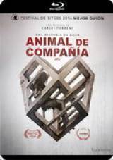 Animal de compañía