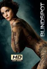 Blindspot 3×19