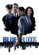 Blue Bloods 8×10