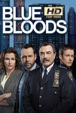 Blue Bloods 8×11