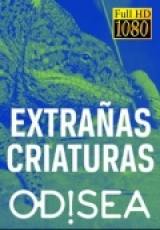 Extranas Criaturas II Capitulos 1 al 6  Temporada  Capitulo 1