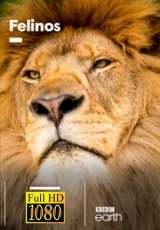 Felinos (BBC)  Capitulos 1 al 3