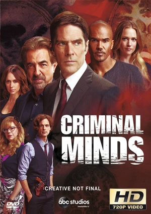 Mentes Criminales (Proper) 13×17