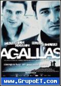 Agallas 