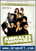 Animales de compañia 