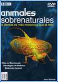 Animales Sobrenaturales – Cap 3 Seducción Animal