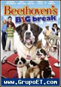 Beethoven La Gran oportunidad 
