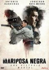 Black Butterfly 