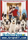 Hotel para perros 