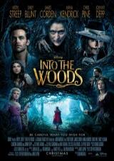 Into the woods 