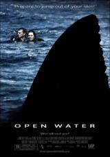 Open Water (2003)[HDRip]