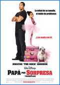 Papa por sorpresa 