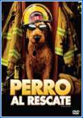 Perro al rescate 
