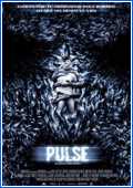 Pulse 