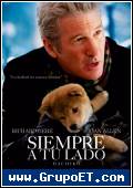 Siempre a tu lado Hachiko 