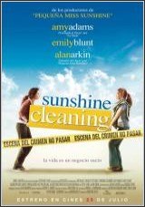 Sunshine Cleaning 