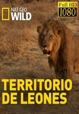 Territorio De Leones  Capitulos 1 al 3