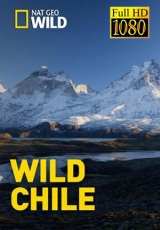 Wild Chile  Capitulos 1 al 3