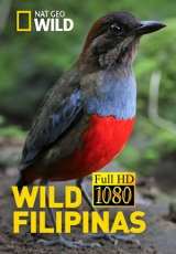 Wild Filipinas  Capitulos 1 al 2