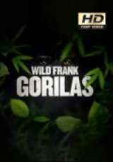 Wild Frank Gorilas Capitulos 1 al 5  Temporada  Capitulo 1