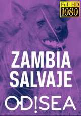 Zambia Salvaje Odisea  Capitulos 1 al 7